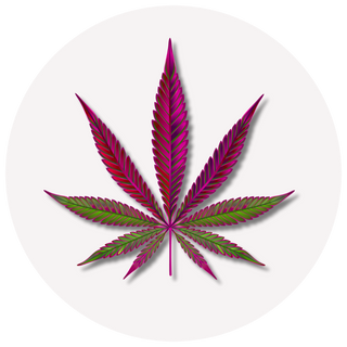 THC & Hemp